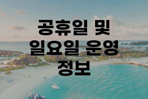 공휴일 및 일요일 운영 정보