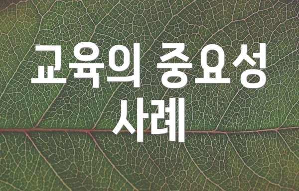 교육의 중요성 사례
