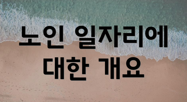 노인 일자리에 대한 개요