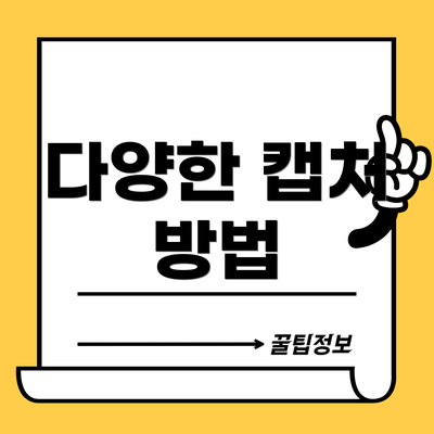 다양한 캡처 방법