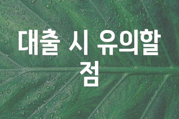 대출 시 유의할 점
