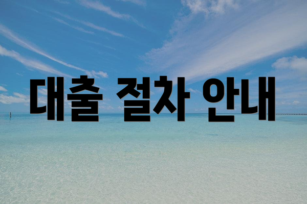 대출 절차 안내