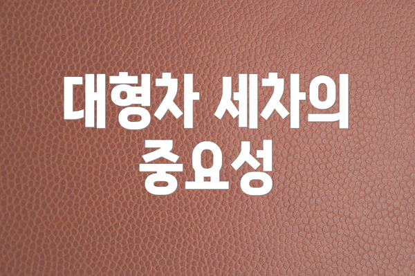 대형차 세차의 중요성