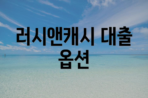 러시앤캐시 대출 옵션