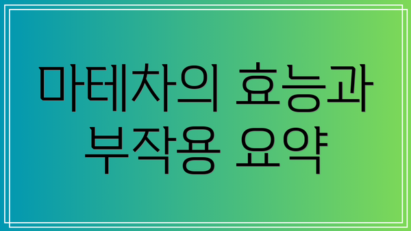 마테차의 효능과 부작용 요약