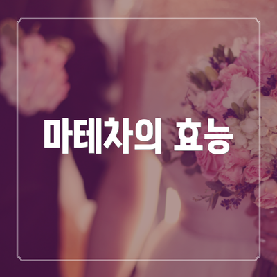 마테차의 효능