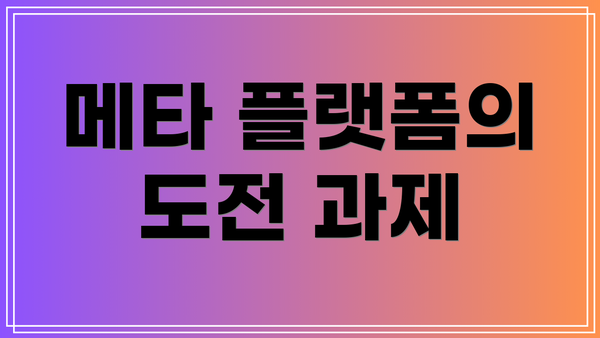 메타 플랫폼의 도전 과제