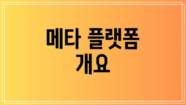 메타 플랫폼 개요