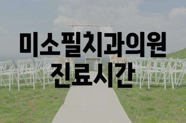 미소필치과의원 진료시간