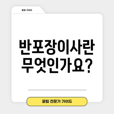 반포장이사란 무엇인가요?