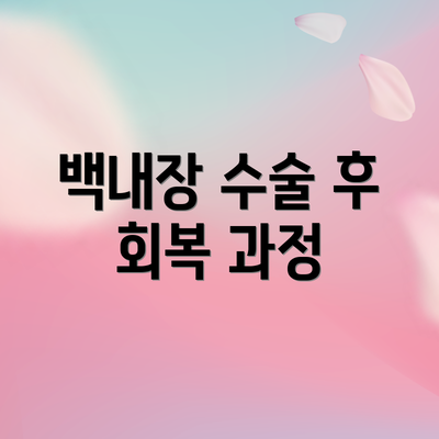 백내장 수술 후 회복 과정