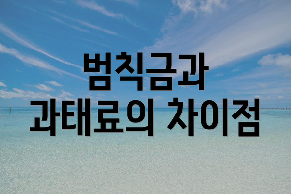 범칙금과 과태료의 차이점