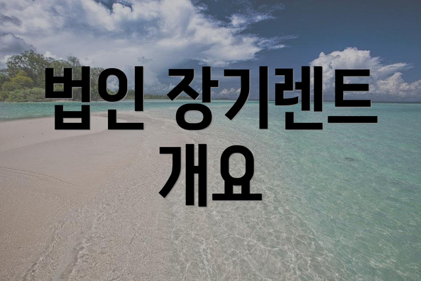 법인 장기렌트 개요