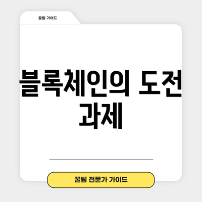 블록체인의 도전 과제