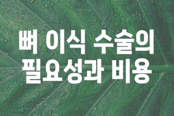 뼈 이식 수술의 필요성과 비용