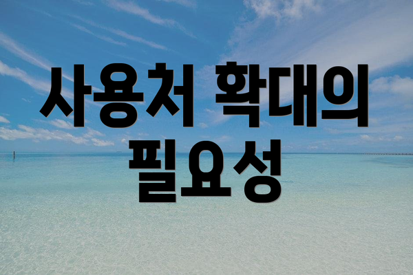 사용처 확대의 필요성