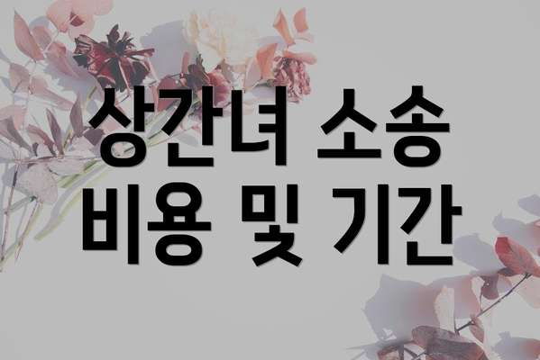 상간녀 소송 비용 및 기간