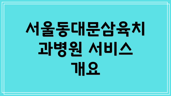 서울동대문삼육치과병원 서비스 개요