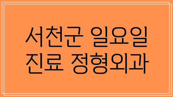 서천군 일요일 진료 정형외과