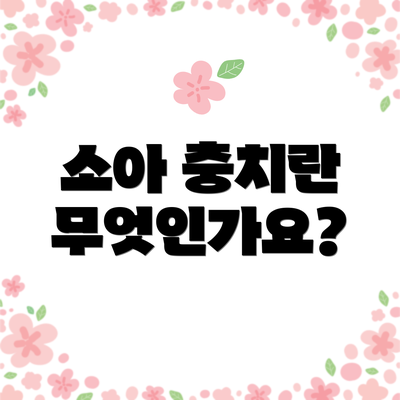 소아 충치란 무엇인가요?