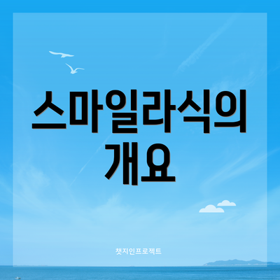 스마일라식의 개요