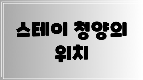 스테이 청양의 위치