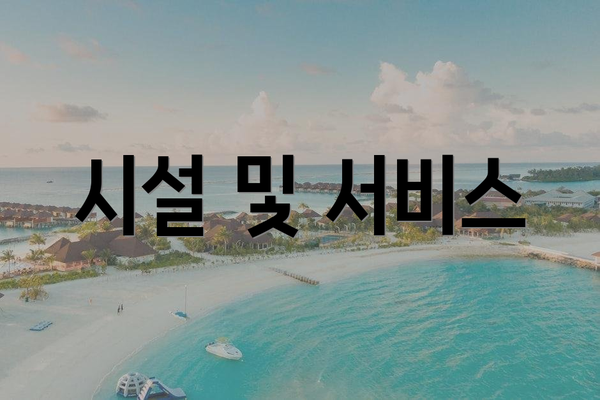 시설 및 서비스