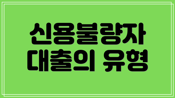 신용불량자 대출의 유형