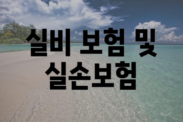 실비 보험 및 실손보험