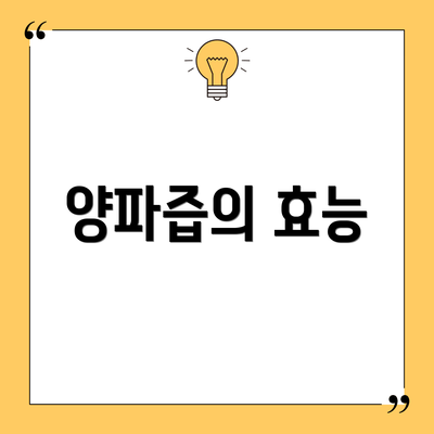 양파즙의 효능