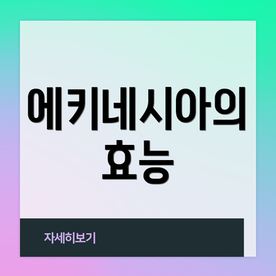 에키네시아의 효능