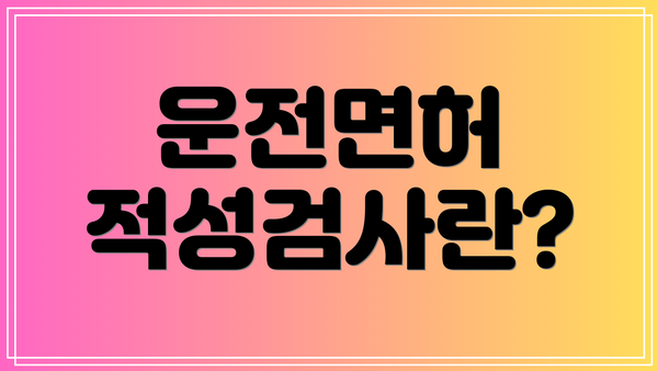 운전면허 적성검사란?