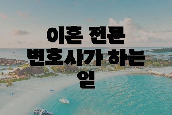 이혼 전문 변호사가 하는 일