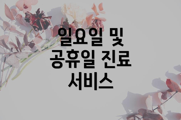 일요일 및 공휴일 진료 서비스