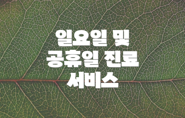일요일 및 공휴일 진료 서비스