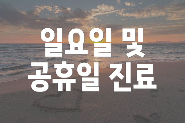 일요일 및 공휴일 진료