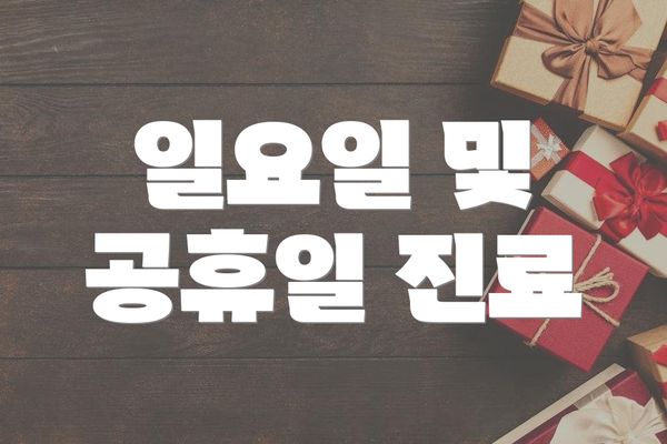 일요일 및 공휴일 진료