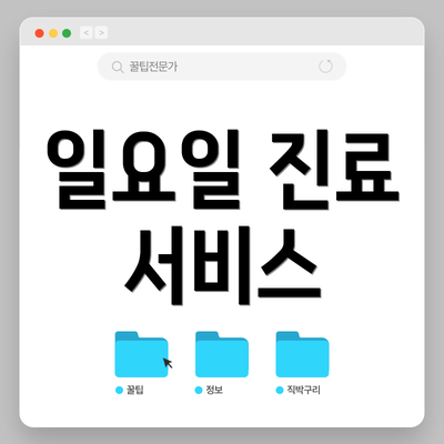 일요일 진료 서비스