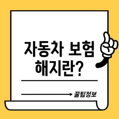 자동차 보험 해지란?