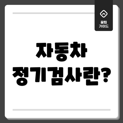 자동차 정기검사란?