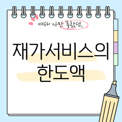 재가서비스의 한도액