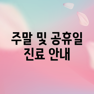 주말 및 공휴일 진료 안내