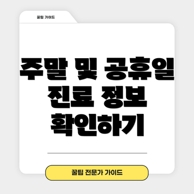 주말 및 공휴일 진료 정보 확인하기