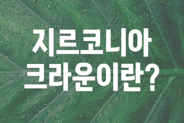 지르코니아 크라운이란?