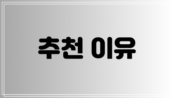 추천 이유