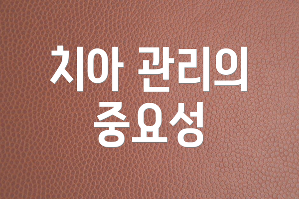 치아 관리의 중요성