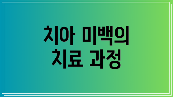치아 미백의 치료 과정