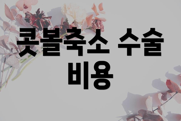 콧볼축소 수술 비용