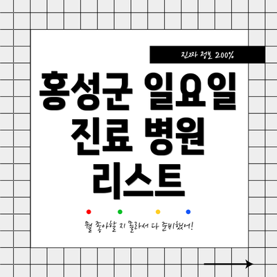 홍성군 일요일 진료 병원 리스트