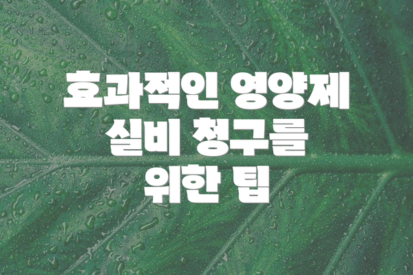 효과적인 영양제 실비 청구를 위한 팁